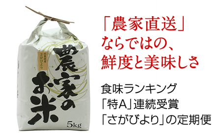  【定期便】(12ヶ月連続お届け) 平石食品直送  さがびより(5kg X 12回)   Q099-002