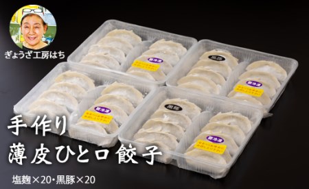 手作り薄皮ひと口餃子セット(各20個 X 2）（塩麹、黒豚）ギョウザ 大人気  B115-003