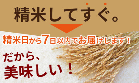 ご飯ソムリエ厳選！夢しずく5kg（肥前糧食）B140-060