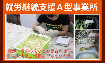 発芽ニンニクのピり辛キムチ漬け（3P）臭いがしないにんにく 障害者福祉支援 A070-038