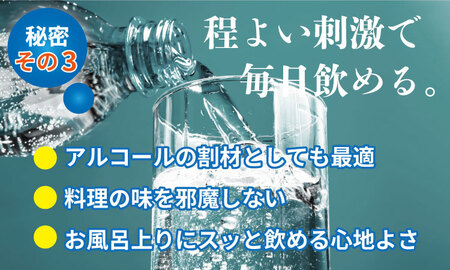 蛍の郷の天然すい（炭酸水）1L 15本×1ケース A060-013 炭酸 飲料