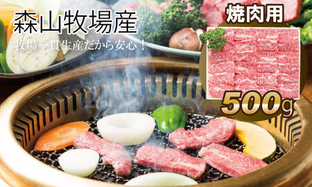 【ふるなびWEEK対象】FN-Limited-PR 森山牧場 焼肉セット 500g 焼肉 牛肉 B125-007