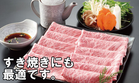 「佐賀産和牛」しゃぶしゃぶ・すき焼き用肉 中島精肉 B135-005