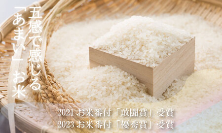 2023お米番付「優秀賞」！特別栽培米 さがびより（７kg）しもむら農園  B145-002