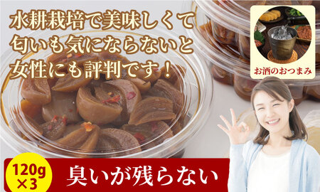 発芽 ニンニク たまり漬け（3パック） A070-037 にんにく