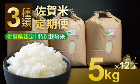 【定期便】(12ヶ月連続お届け) 田中農場 特別栽培認定 佐賀米5kg X 12回  Q168-001