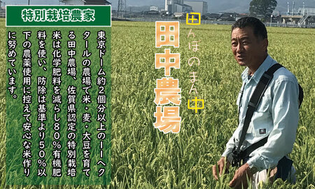 【定期便】(12ヶ月連続お届け) 田中農場 特別栽培認定 佐賀米5kg X 12回  Q099-001