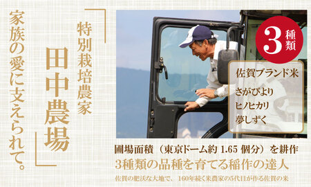 【定期便】(12ヶ月連続お届け) 田中農場 特別栽培認定 佐賀米5kg X 12回  Q168-001