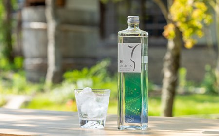 天山名水でつくる小城のクラフトジン OGIGIN想オリジナル（700ml×１） B120-069