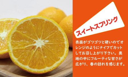 【先行予約】ご家庭用スィートスプリングとはるみセット（５kg）  B120-083