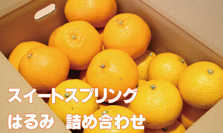 【先行予約】ご家庭用スィートスプリングとはるみセット（５kg）  B120-083