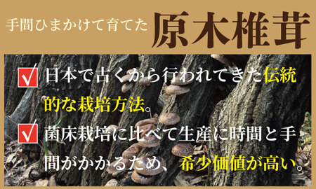 俺の作った原木乾燥しいたけ（サイズ大・中・小・カット）300g 椎茸 B110-038
