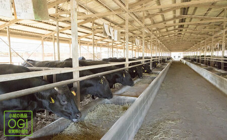 黒毛和牛 ロースステーキ 250g×2 C270-001 ステーキ 牛肉