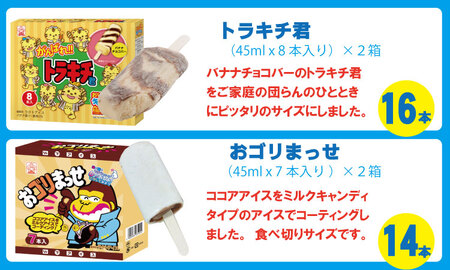 竹下製菓アイスバラエティ8箱セット  B175-001