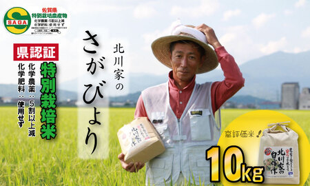 令和6年度産  特別栽培米「さがびより」北川農産（10kg） B180-006 米 さがびより 佐賀米 新米 一等米 精米 白米 ブランド米 お米 白飯 さがびより