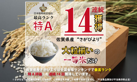 令和6年度産  特別栽培米「さがびより」北川農産（10kg） B180-006 米 さがびより 佐賀米 新米 一等米 精米 白米 ブランド米 お米 白飯 さがびより