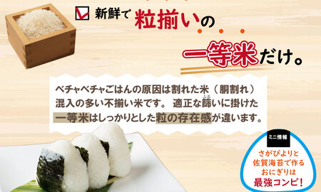 令和6年度産  特別栽培米「さがびより」北川農産（10kg） B180-006 米 さがびより 佐賀米 新米 一等米 精米 白米 ブランド米 お米 白飯 さがびより