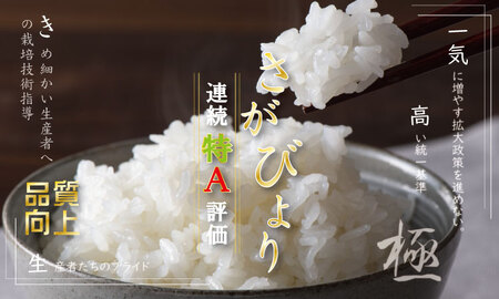 【定期便】お米定期便 北川農産の米（10kg x 12回）   Q190-001