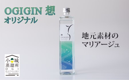 天山名水でつくる小城のクラフトジン OGIGIN想飲み比べ300ml x 2本セット B135-020