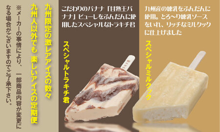 【定期便】 (12ヶ月連続お届け)竹下製菓人気アイス10本  アイス クリーム Q108-004