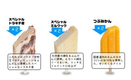 【定期便】 (12ヶ月連続お届け)竹下製菓人気アイス10本 Q120-001