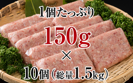 佐賀牛入合い挽きハンバーグ（150g×10個 B115-005
