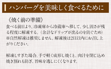 佐賀牛入合い挽きハンバーグ（150g×10個 B115-005