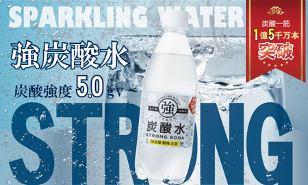 【定期便】（年/隔月）強炭酸水（500ml）2ケース（48本入り）×6回 水・ミネラルウォーター Q079-002