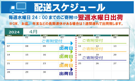 強炭酸水 ストロングウォーター（500ml）24本×2ケース  B135-021  強炭酸 炭酸水 水 炭酸強め 刺激 健康 美容 佐賀県 小城市