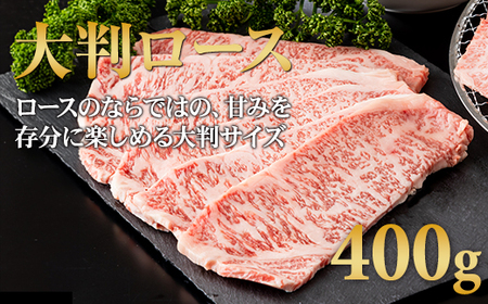 三角バラ肉入り！佐賀牛焼肉セット（カルビ・ロース×900g）つるや食品 D400-006 佐賀牛 焼肉 赤身 バラ肉 黒毛和牛 ブランド牛 人気 佐賀県 小城市