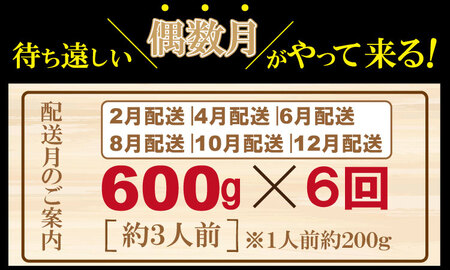 【定期便】年6回/偶数月 佐賀牛ヒレステーキ Q400-001 定期便 牛肉