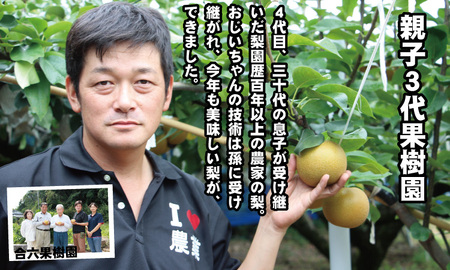 【予約開始！】あきづき「秋月」 梨 （５kg）親子三世代 農家 合六果樹園  B120-006