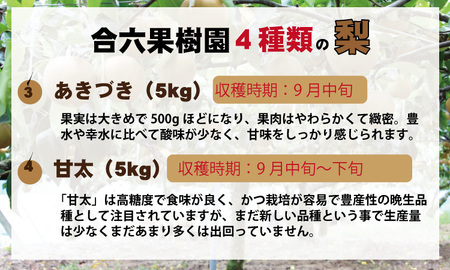 【予約開始！】あきづき「秋月」 梨 （５kg）親子三世代 農家 合六果樹園  B120-006