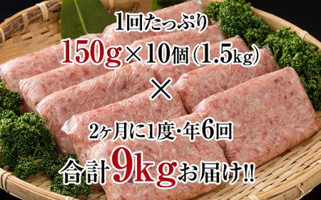 【定期便】佐賀牛入合い挽きハンバーグ（150g×10個）x 6回（偶数月） Q063-001