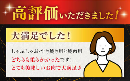 【12回定期便】佐賀牛 A5 堪能セット (しゃぶしゃぶ すき焼き用 ・ 焼肉用) 計800g(400g×2P) 【桑原畜産】 [NAB097] 佐賀牛 牛肉焼肉 牛肉BBQ 佐賀牛 牛肉しゃぶしゃぶ 牛肉すき焼き