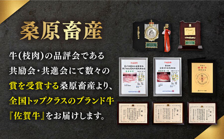 【12回定期便】佐賀牛 A5 堪能セット (しゃぶしゃぶ すき焼き用 ・ 焼肉用) 計800g(400g×2P) 【桑原畜産】 [NAB097] 佐賀牛 牛肉焼肉 牛肉BBQ 佐賀牛 牛肉しゃぶしゃぶ 牛肉すき焼き