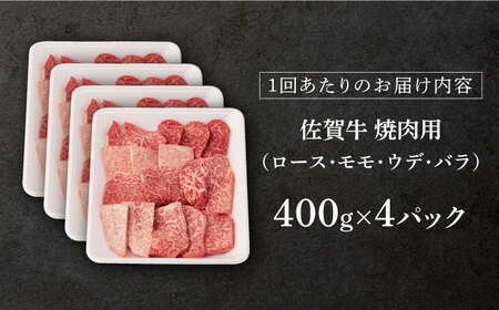 【先行予約】【3回定期便】佐賀牛 牛肉 A5 焼肉用 総計4.8kg NAB429 牛肉 定期便