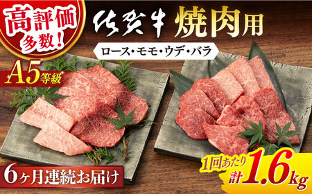 【6回定期便】佐賀牛 牛肉 A5 焼肉用 総計9.6kg NAB430 牛肉 定期便