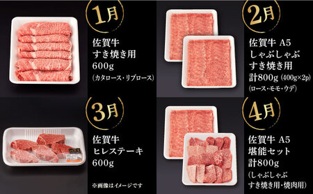 【12回定期便】佐賀牛 フルコース定期便 【桑原畜産】 [NAB110] 佐賀牛 牛肉 定期便 佐賀牛食べくらべ 牛肉食べくらべ 佐賀牛堪能 牛肉堪能 佐賀牛定期便 牛肉定期便