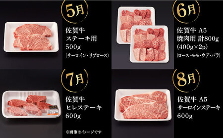 【12回定期便】佐賀牛 フルコース定期便 【桑原畜産】 [NAB110] 佐賀牛 牛肉 定期便 佐賀牛食べくらべ 牛肉食べくらべ 佐賀牛堪能 牛肉堪能 佐賀牛定期便 牛肉定期便