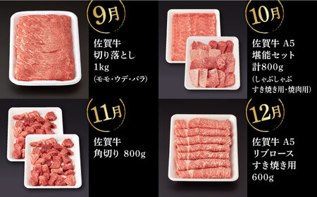 【12回定期便】佐賀牛 フルコース定期便 【桑原畜産】 [NAB110] 佐賀牛 牛肉 定期便 佐賀牛食べくらべ 牛肉食べくらべ 佐賀牛堪能 牛肉堪能 佐賀牛定期便 牛肉定期便