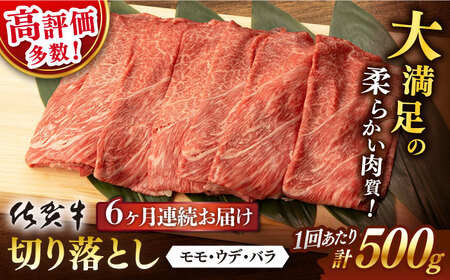 【先行予約】【6回定期便】佐賀牛 切り落とし 総計3.0kg NAB033 牛肉 定期便