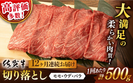 【先行予約】【12回定期便】佐賀牛 切り落とし 総計6.0kg NAB034 牛肉 定期便