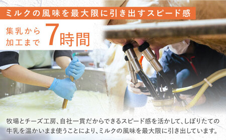 【3回定期便】チーズトースト ゴーダ＆モッツァレラMIX 4点 セット【ナカシマファーム】[NAJ116]