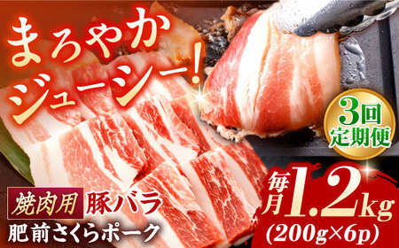 【3回定期便】豚肉 焼肉用 総計3.6kg NAC604 豚肉焼肉定期便