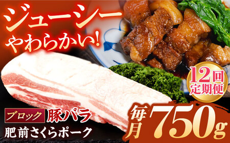 【12回定期便】豚肉 ブロック 総計9kg NAC615 豚肉ブロック定期便