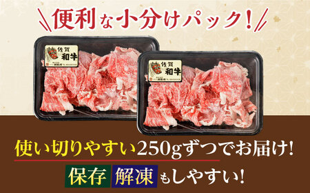 牛肉切り落とし 計500g NAC030 牛肉  切り落とし