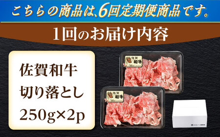 【6回定期便】牛肉切り落とし計500g NAC163 牛肉定期便