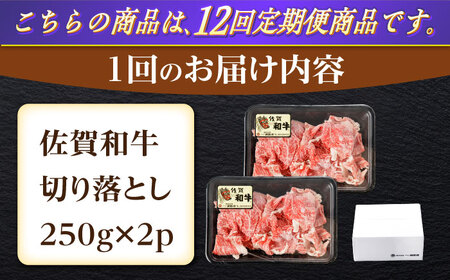 【12回定期便】牛肉切り落とし計500g NAC164 牛肉定期便
