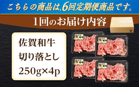 【6回定期便】牛肉切り落とし 計1kg NAC166 牛肉 定期便